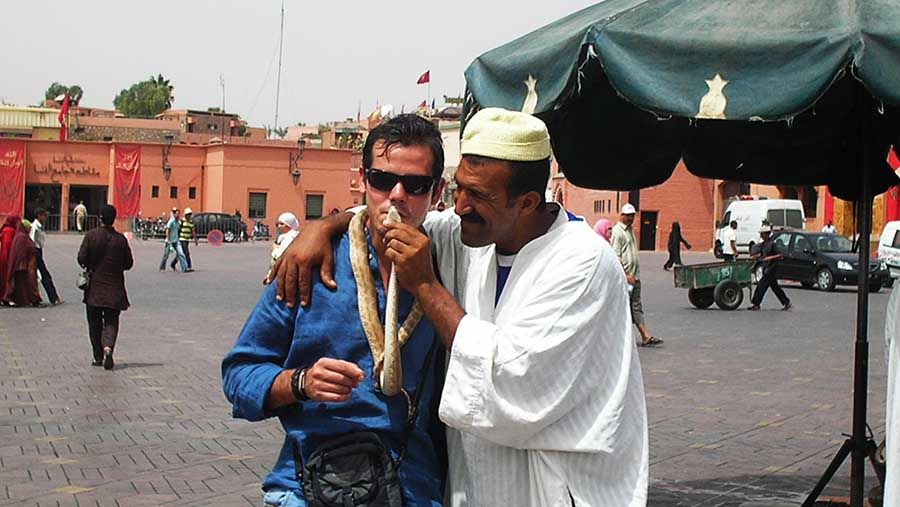 Puestos de Jemaa el-Fna