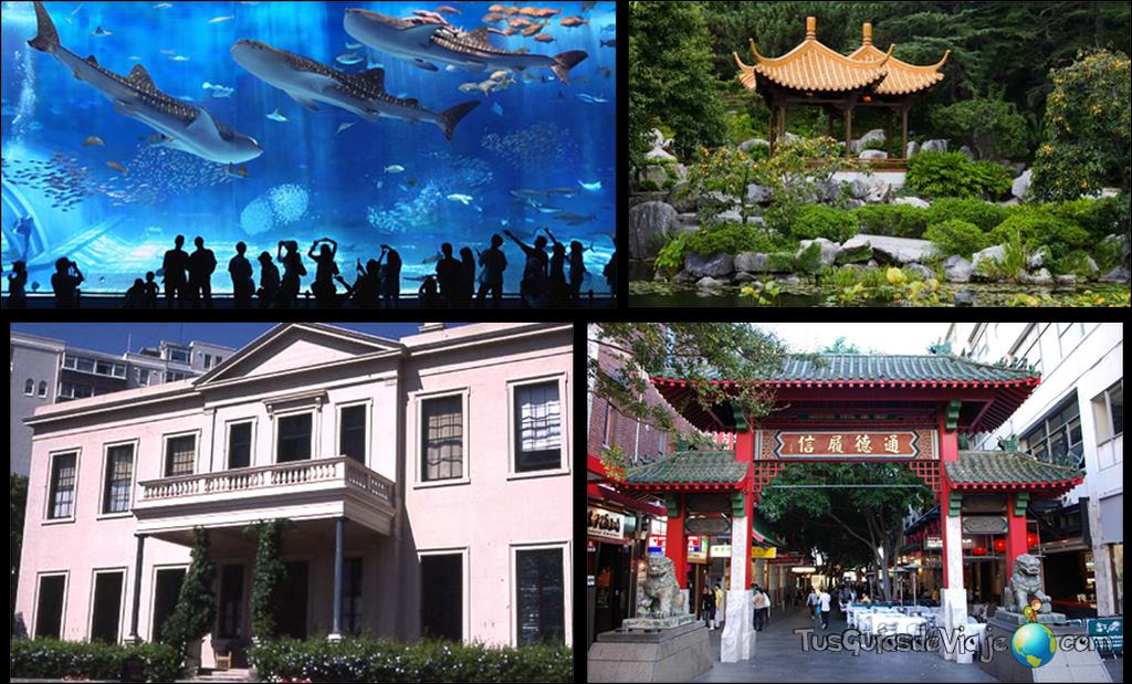 Acuario de Sídney, Chinatown y patrimonio histórico de la ciudad