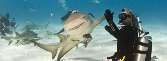 Esa foto en el momento exacto…