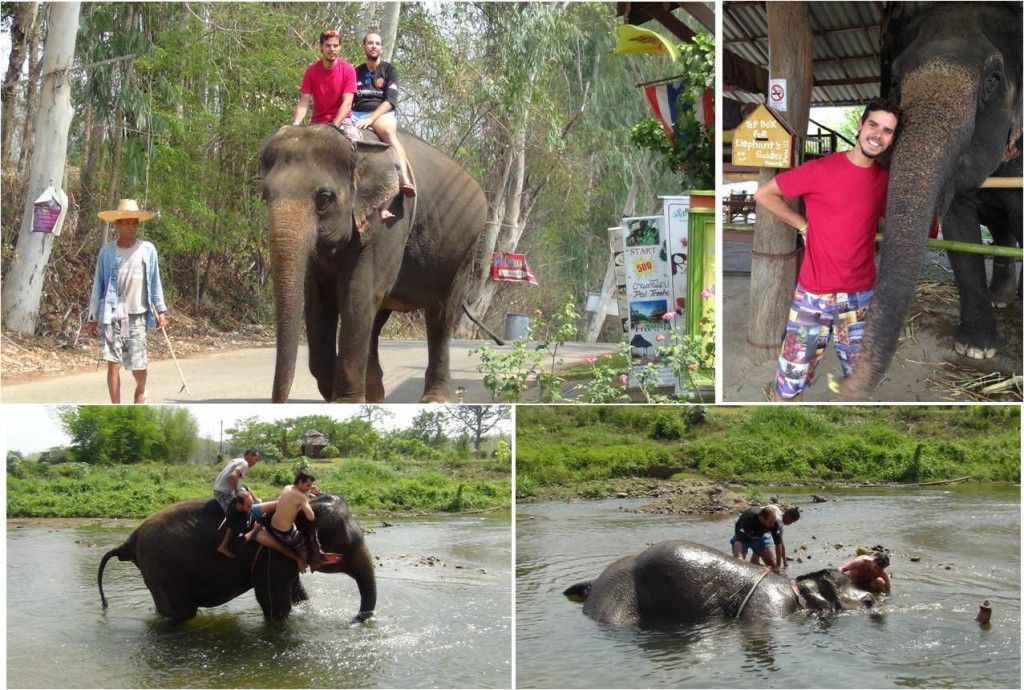 Elefante en Pai y Chiang Mai-qué hacer en Tailandia