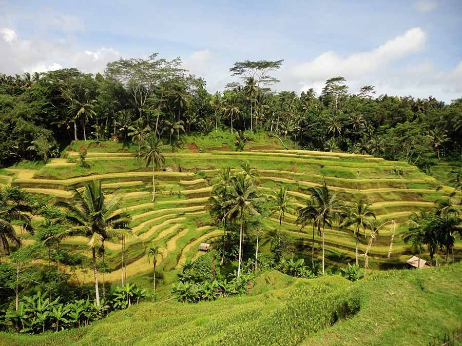Qué ver en Bali durante una semana