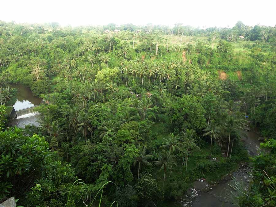 Road trip por el norte y oeste de Bali