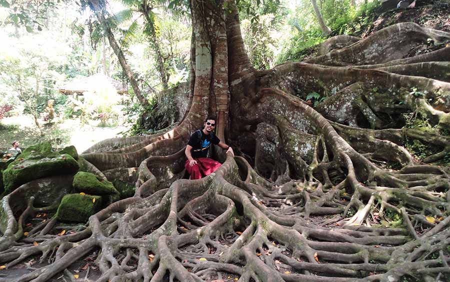 Goa Gajah y templos del interior de Bali