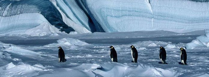 Si todo el hielo del planeta se derritiese…