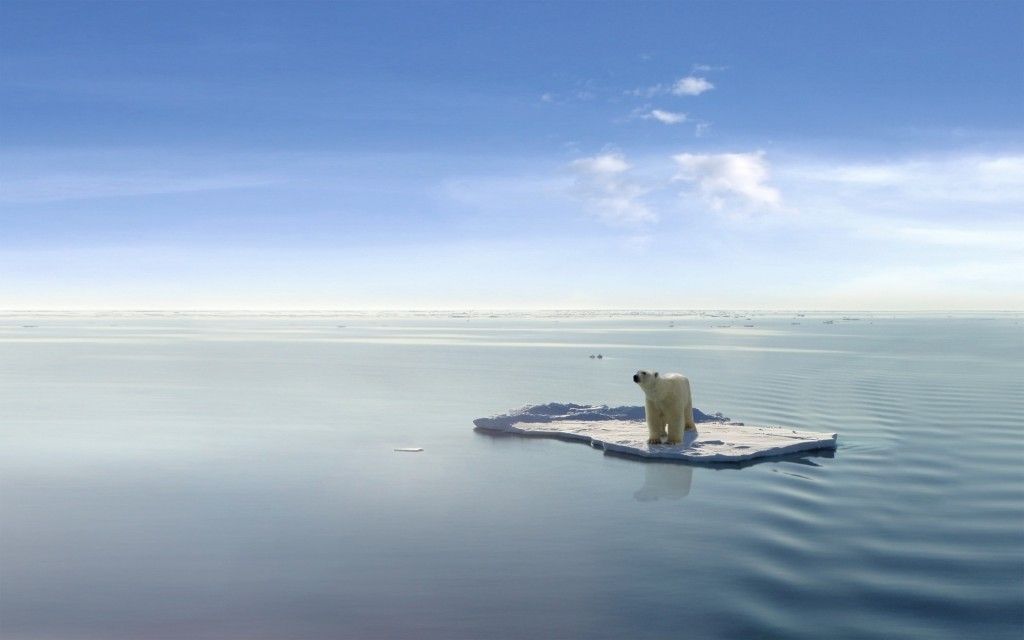 hielo del planeta