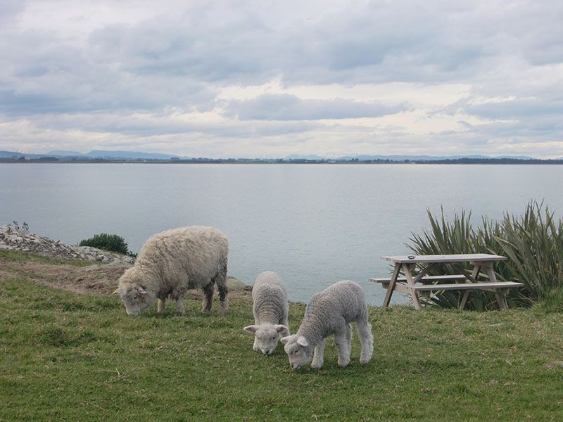 Paisajes espectaculares - Pablito