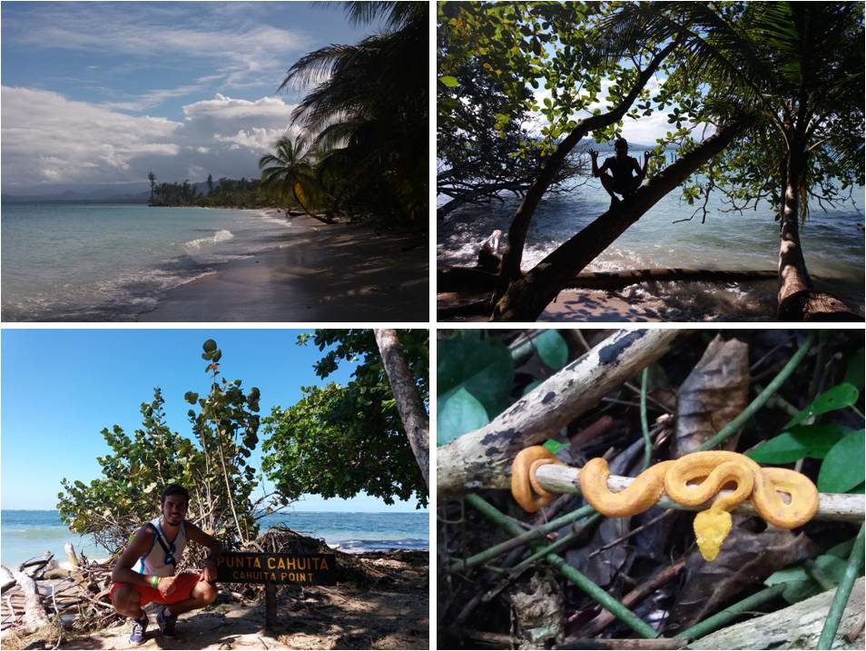 Costa y selva en Cahuita