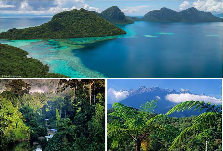 Paisajes y fauna de Borneo en Malasia