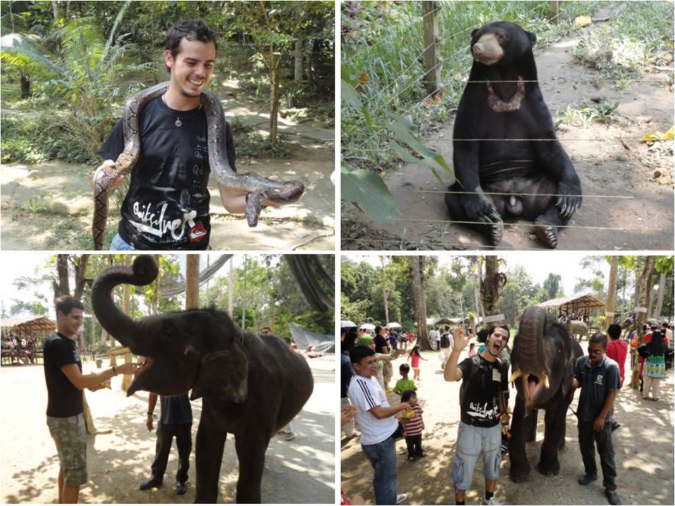 Experiencias y fauna durante el viaje por Taman Negara