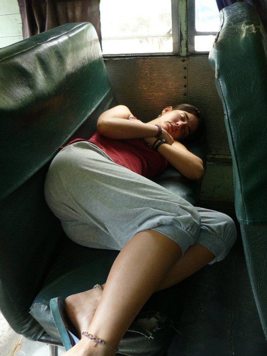 Paloma en Costa Rica (13)