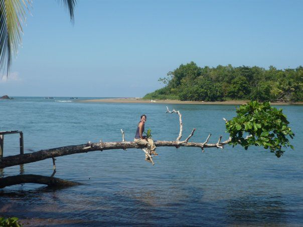 Paloma en Costa Rica (2)