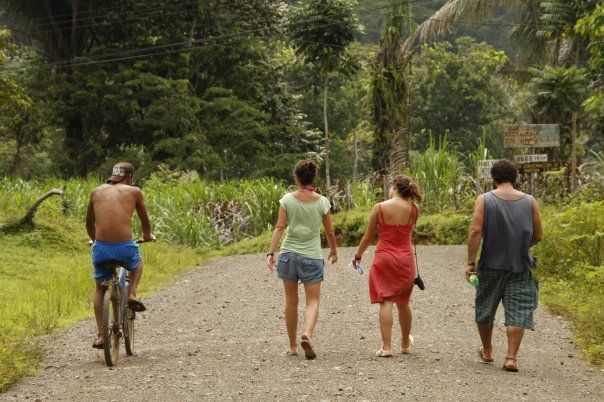 Paloma en Costa Rica (4)