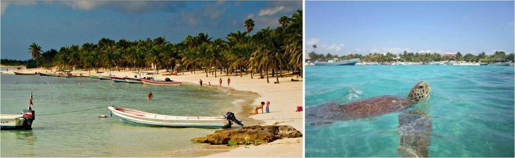 Bucear con tortugas en Akumal