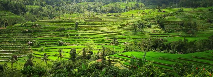 Bali
