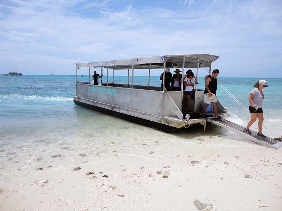 Laguna y naturaleza de Lady Musgrave Island