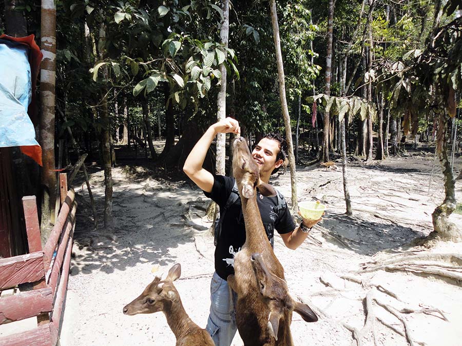 Fauna observada durante la ruta por Malasia