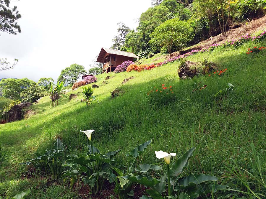 Cascada entre la vegetación de Boquete