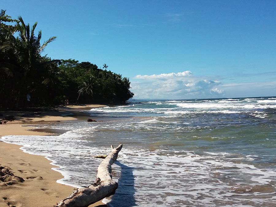 Playa de Manuel Antonio