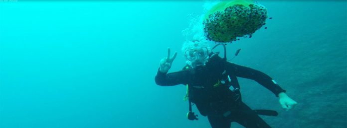 Buceo en Altea (Alicante)