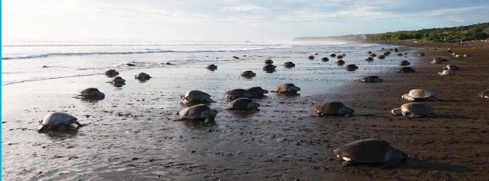 Costa Rica