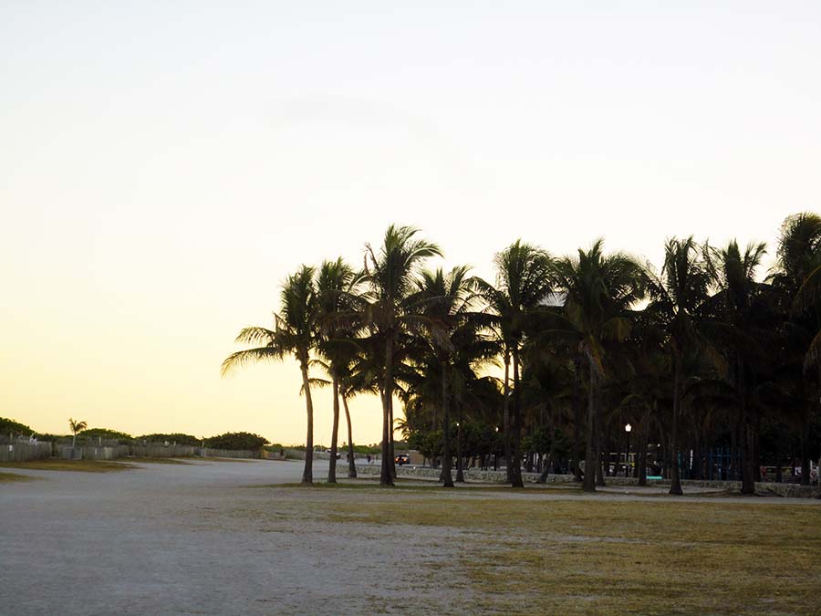 Miami durante nuestro viaje por Florida