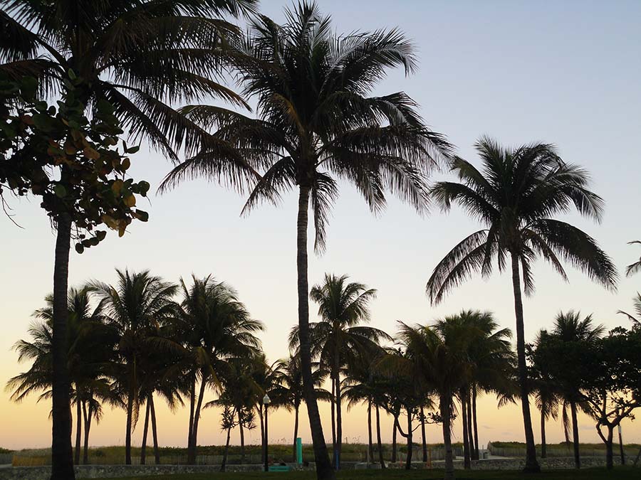 South Beach durante nuestro primer día en Miami