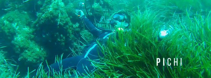 Buceo en Islas Hormigas
