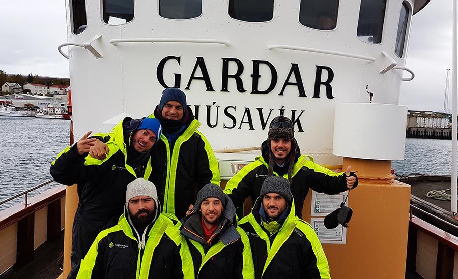 Ver ballenas en islandia