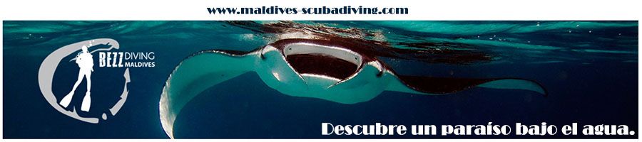 Bezz Diving Maldives
