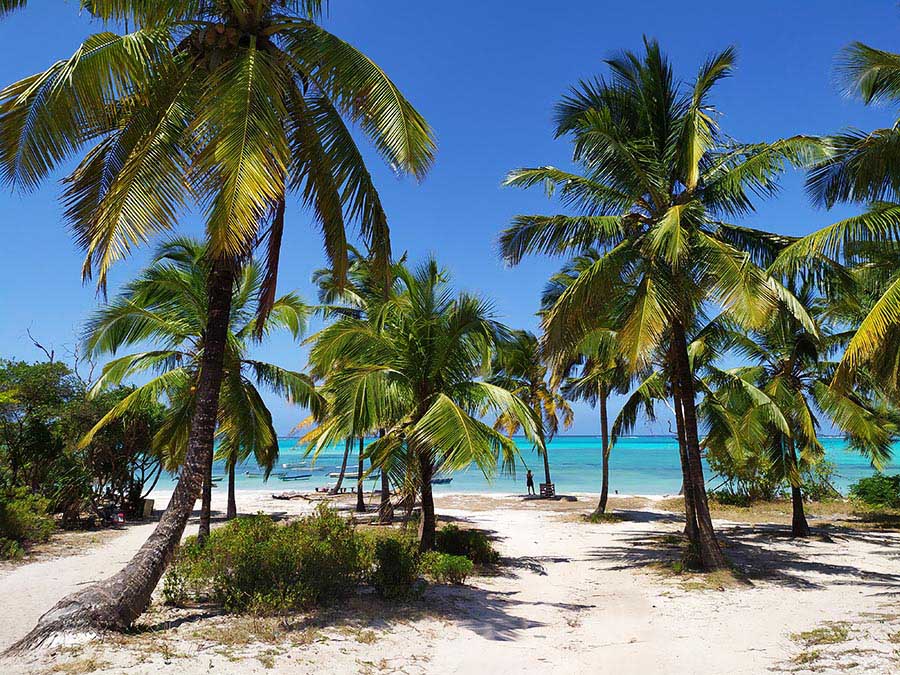 Que ver en Zanzibar