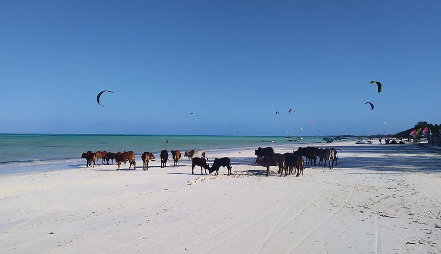 Mejores playas de Zanzibar Paje