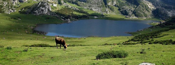 Más allá del Camino: rutas alternativas para descubrir el norte de España