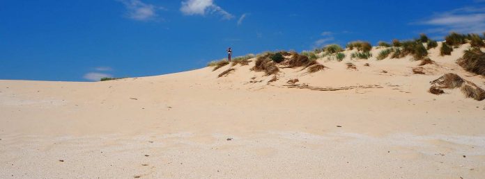 Los mejores puntos para visitar en Cádiz