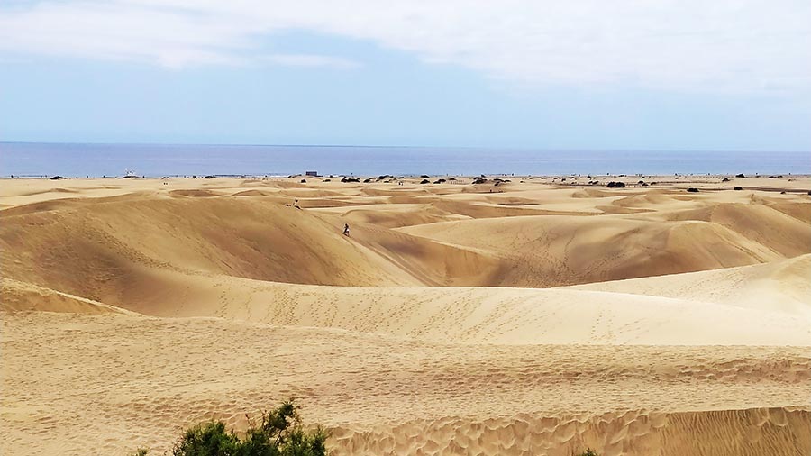 Dunas de Maspalomas Gran Canaria