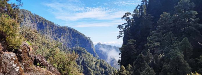 La Palma