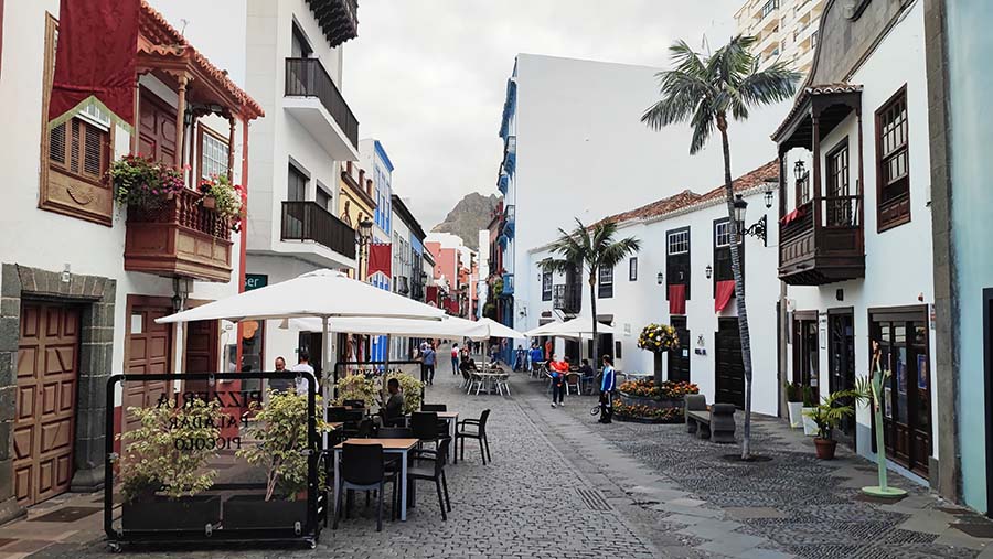 Alojamiemto en La Palma