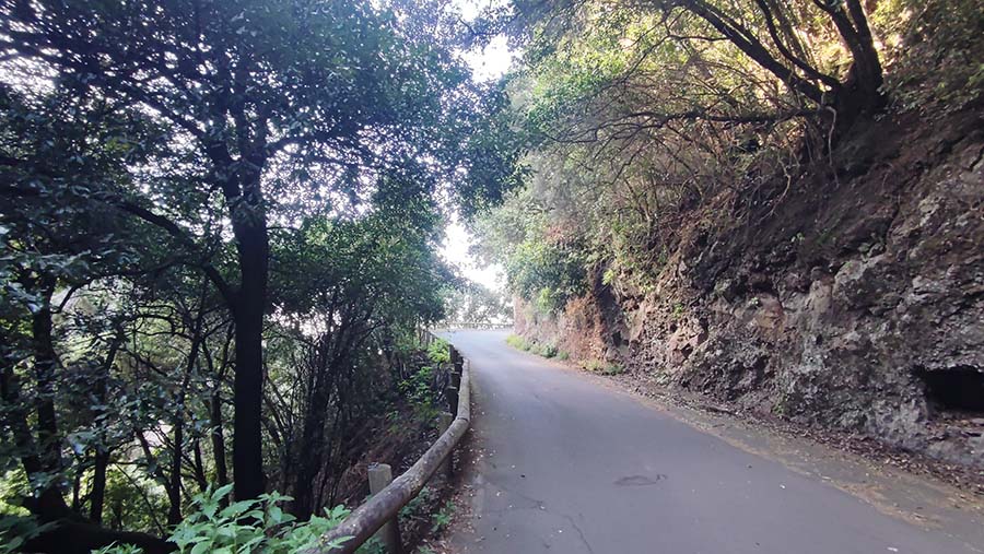 Alquilar coche en La Palma