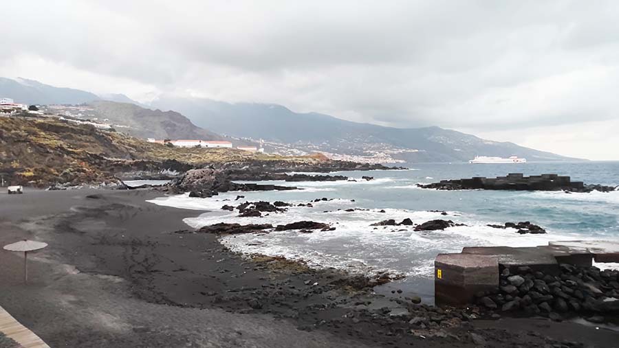 Playa de Los Cancajos