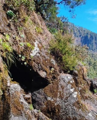 Trekking nacientes de Marcos y Cordero