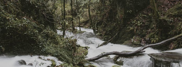 Explora los senderos de Trekking por Galicia
