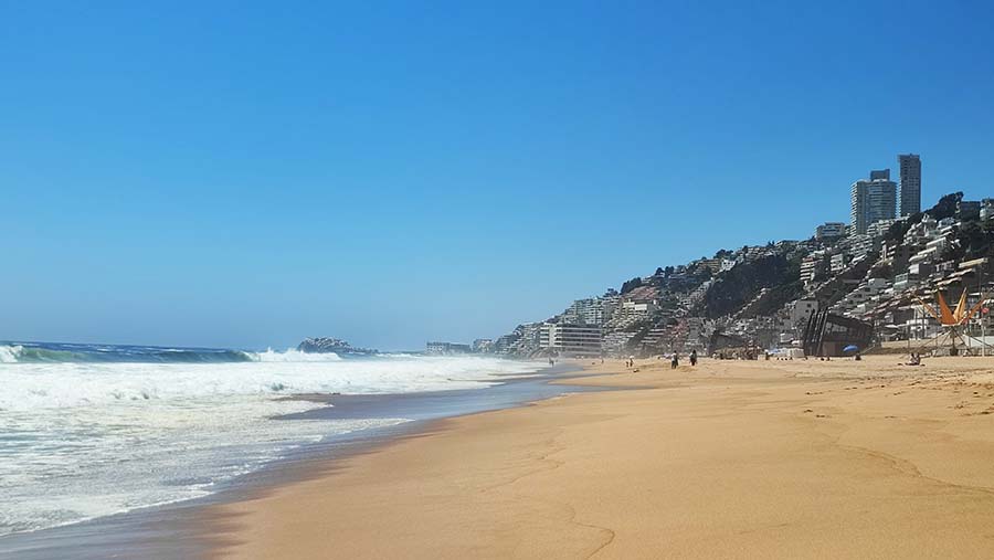 Que ver en Reñaca Chile