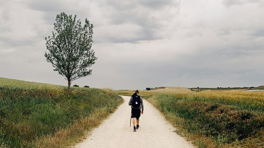 Camino de Santiago