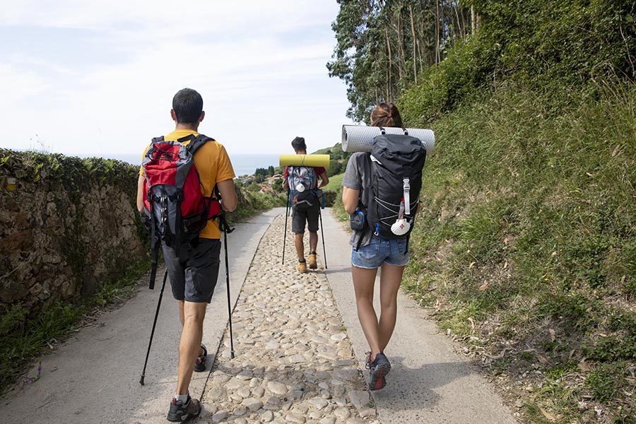 Camino de Santiago