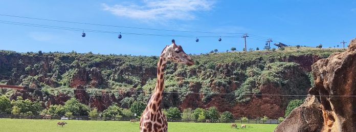 Excursión a Cabárceno
