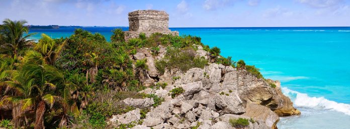 Ecoturismo en México: 5 excursiones que apoyan la conservación de la fauna local