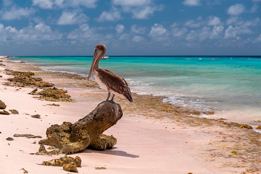 Punta Cana